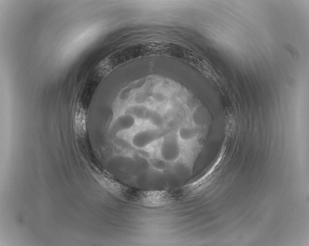 X0000116570191200912101518