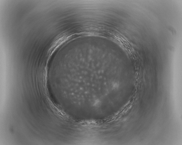 X0000116570194200912101517