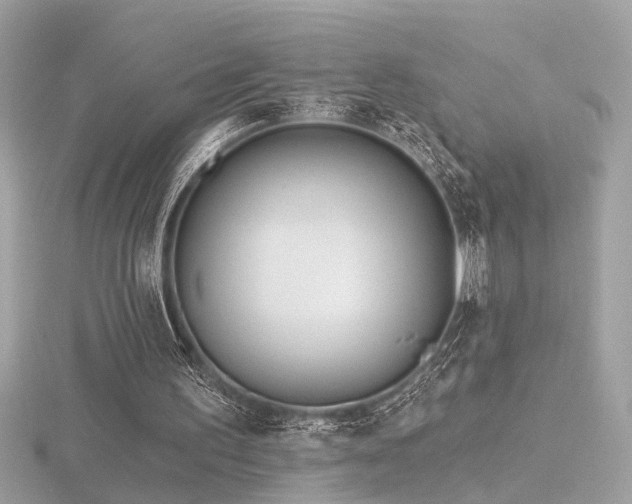 X0000116570195200912101517