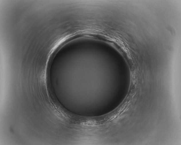 X0000116570196200912101517