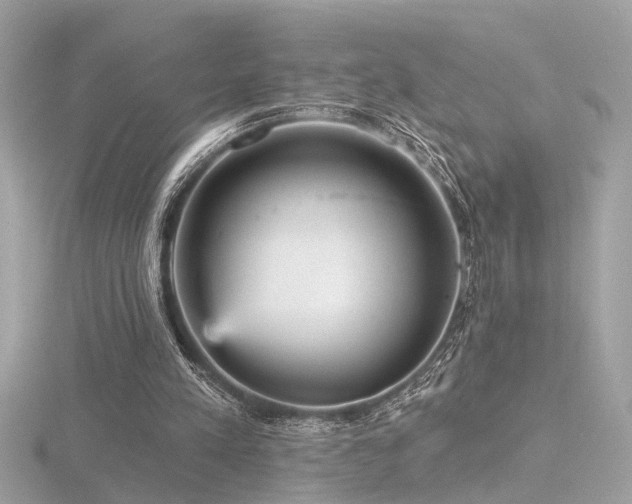 X0000116570197200912101517