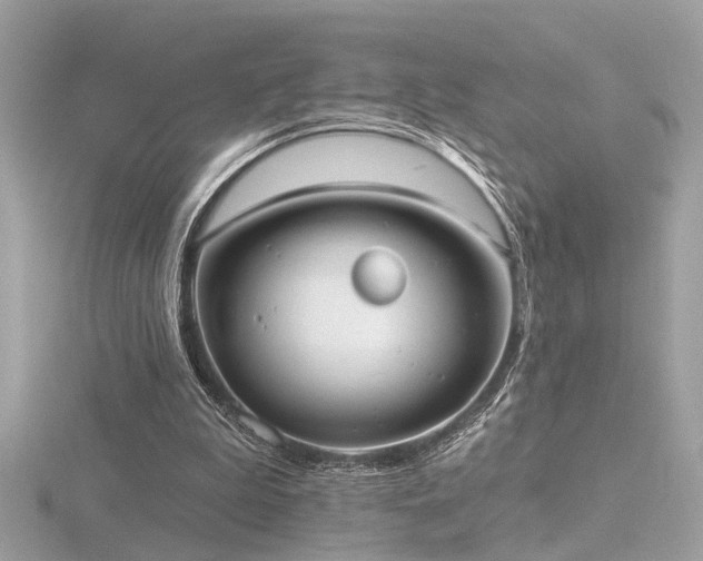 X0000116570199200912101517