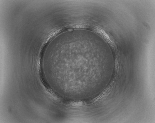 X0000116570202200912101517