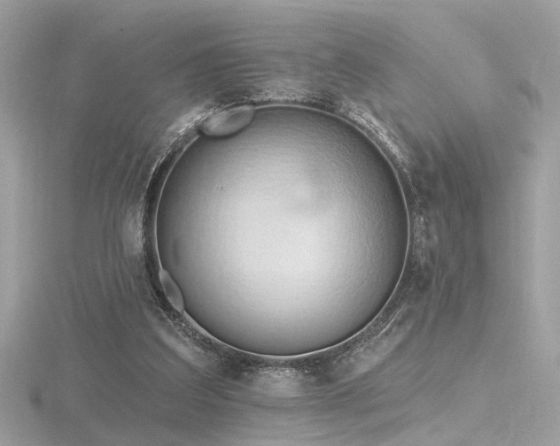 X0000116570203200912101517