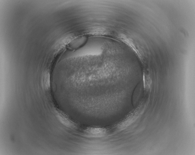 X0000116570205200912101517