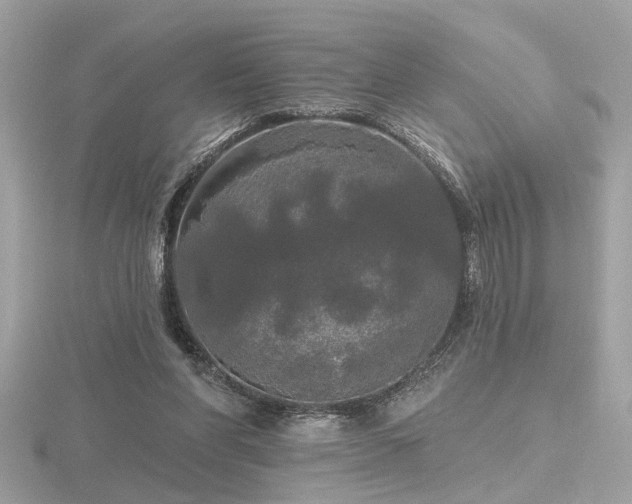 X0000116570206200912101517