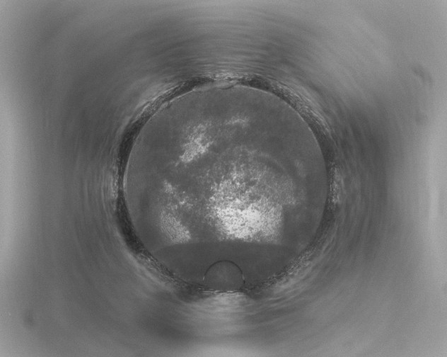 X0000116570210200912101517