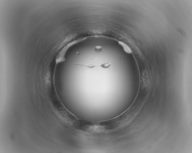 X0000116570212200912101517