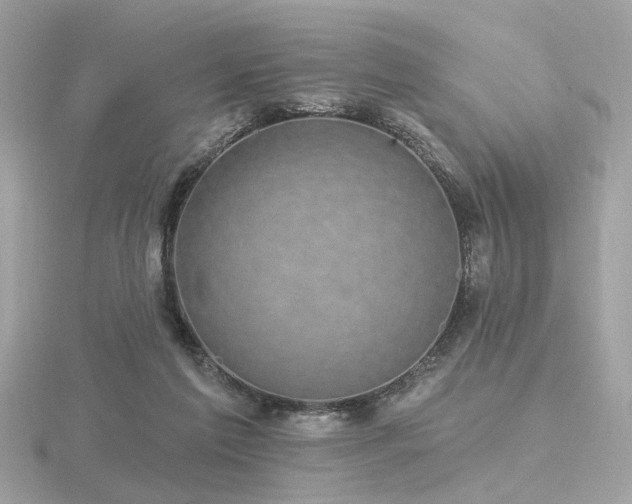 X0000116570213200912101517