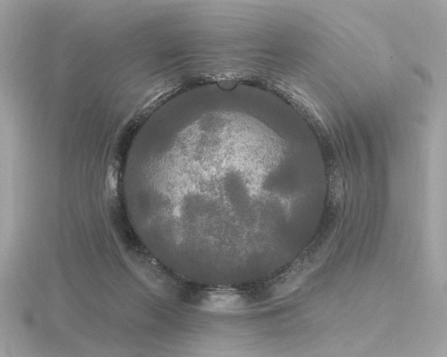 X0000116570214200912101517