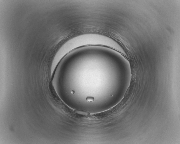 X0000116570215200912101517