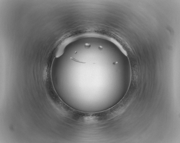 X0000116570216200912101517