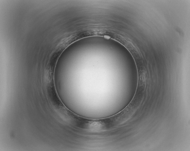 X0000116570218200912101517