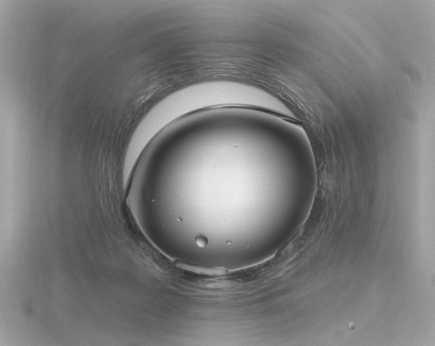 X0000116570219200912101517