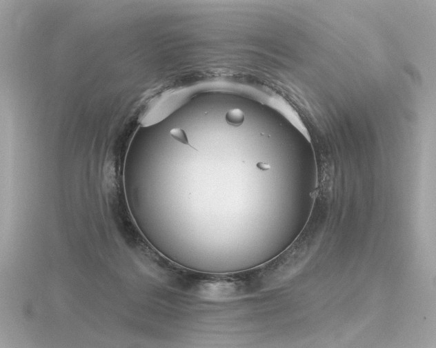 X0000116570220200912101517