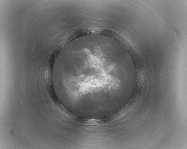 X0000116570222200912101517