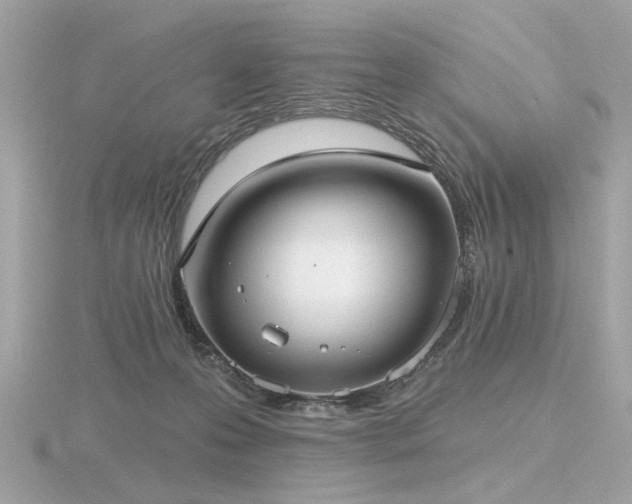 X0000116570223200912101517