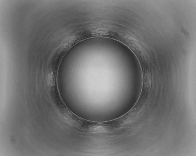 X0000116570224200912101517