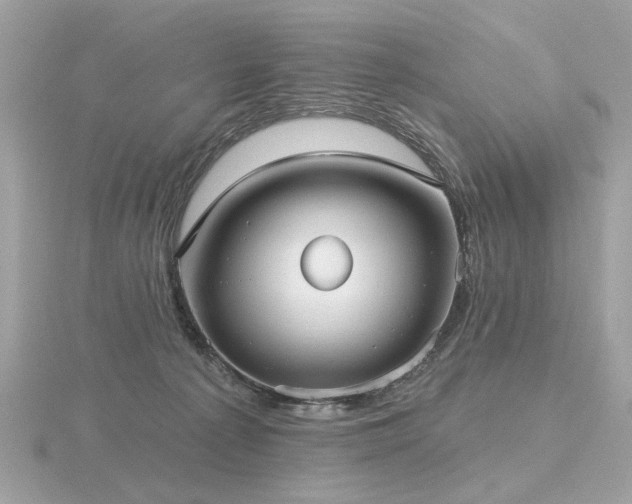 X0000116570225200912101517