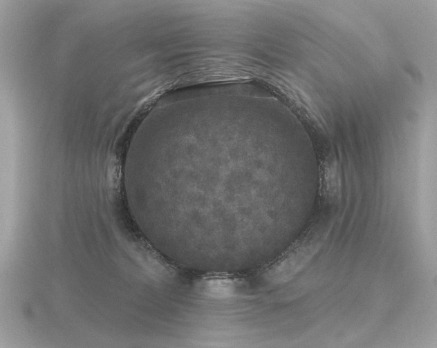 X0000116570228200912101517