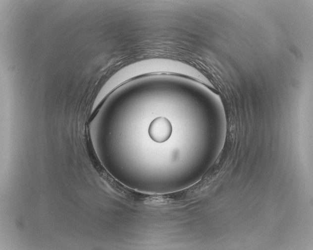 X0000116570231200912101517