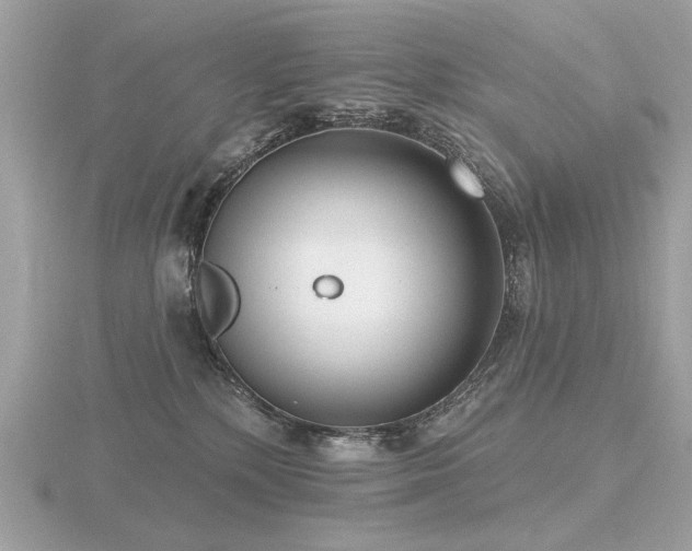 X0000116570232200912101517