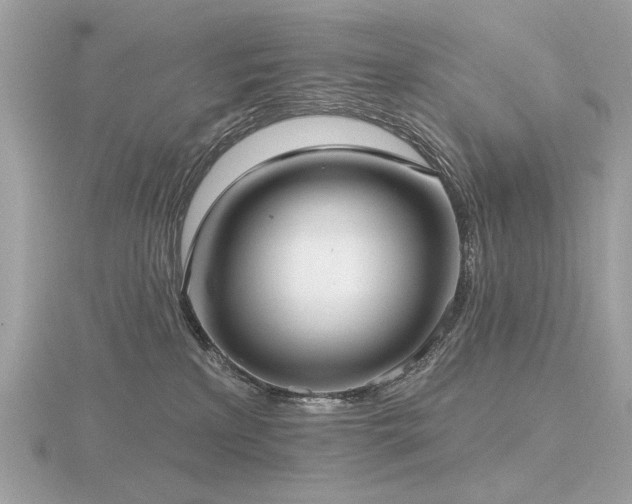 X0000116570233200912101517