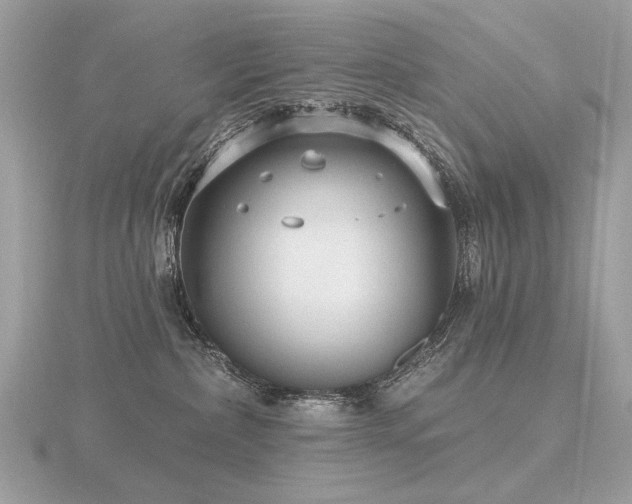 X0000116570236200912101517