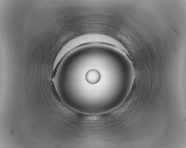 X0000116570237200912101517