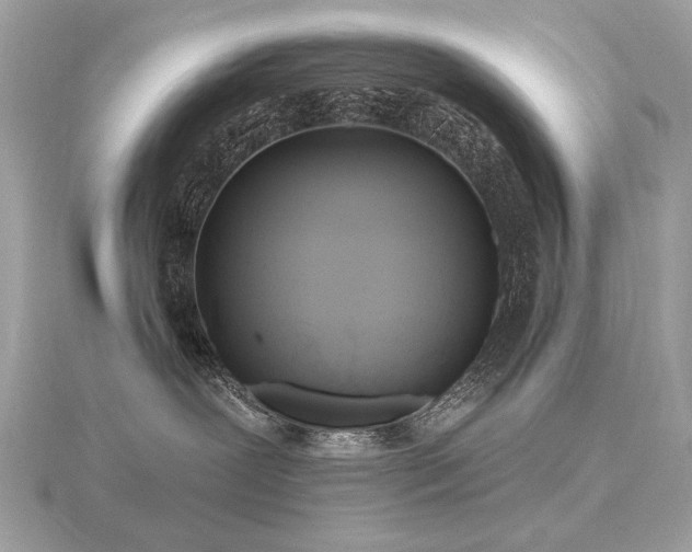 X0000116570239200912101517