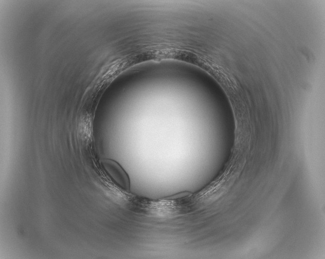 X0000116570240200912101517