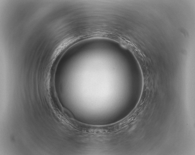 X0000116570242200912101516