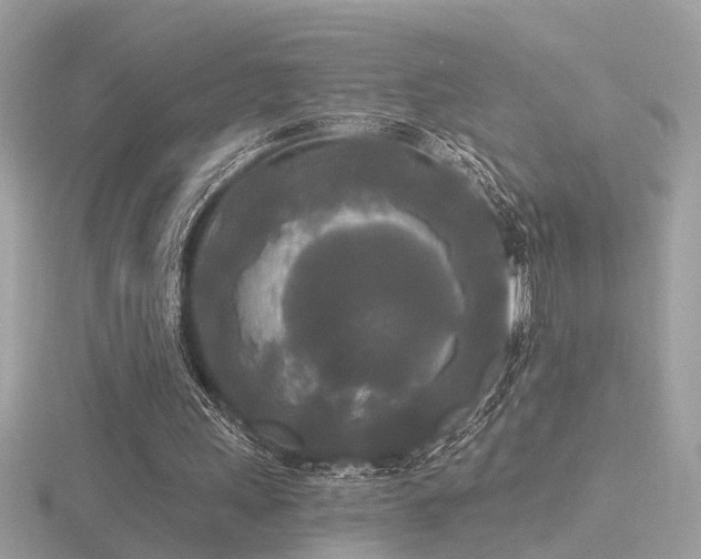 X0000116570243200912101516