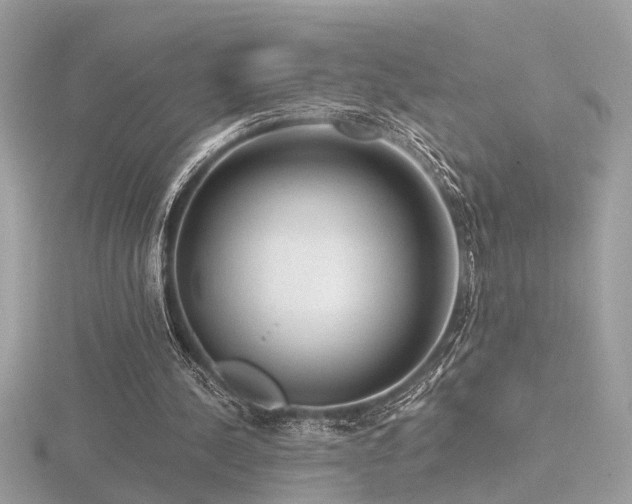 X0000116570244200912101516