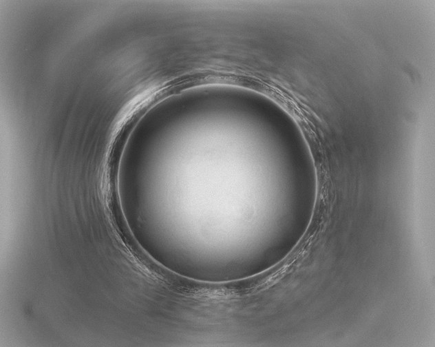 X0000116570245200912101516