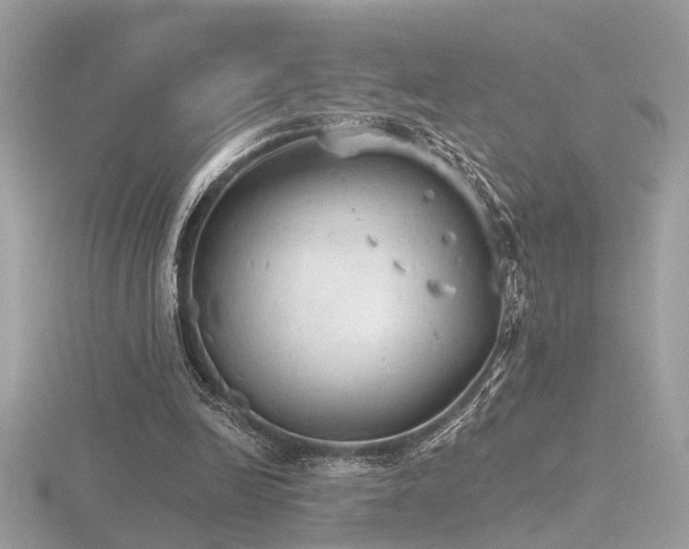 X0000116570246200912101516