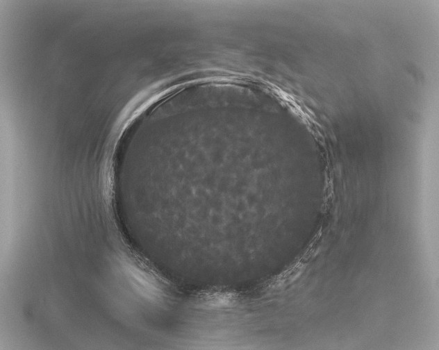 X0000116570247200912101516