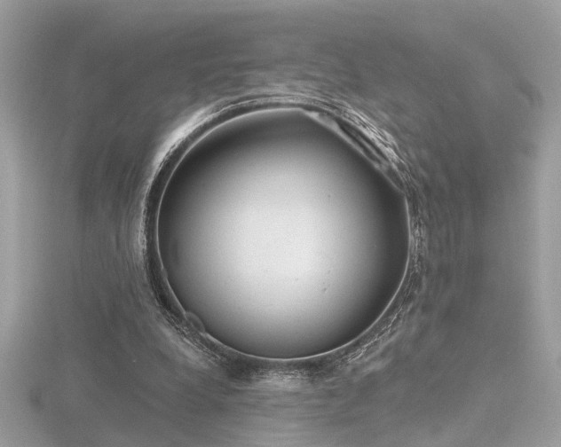 X0000116570248200912101516