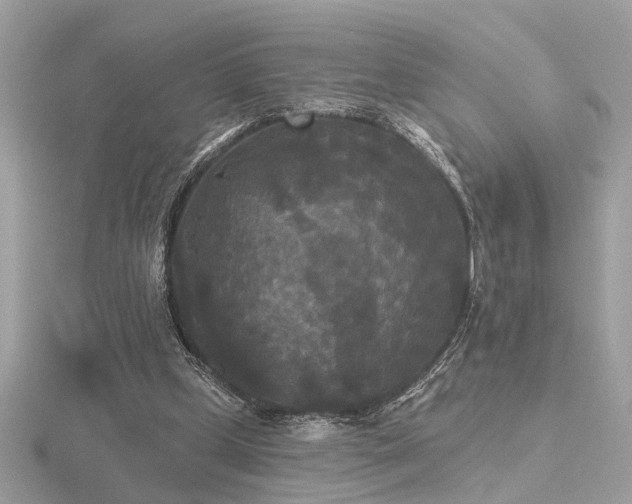 X0000116570249200912101516