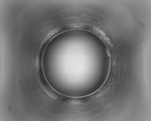 X0000116570250200912101516