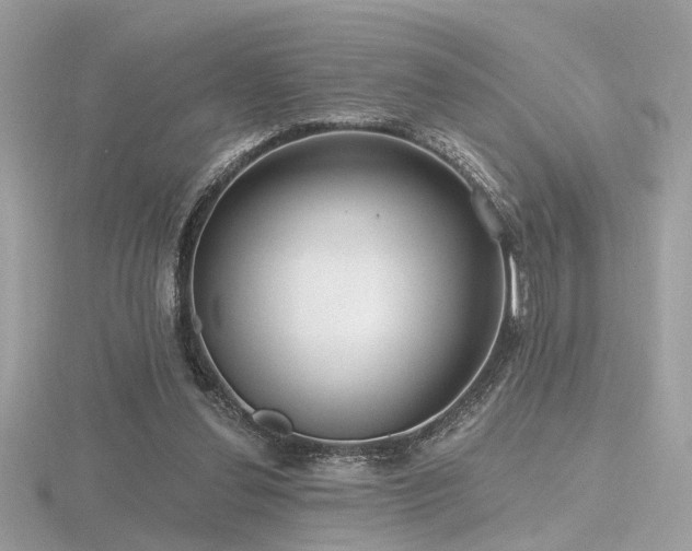 X0000116570252200912101516