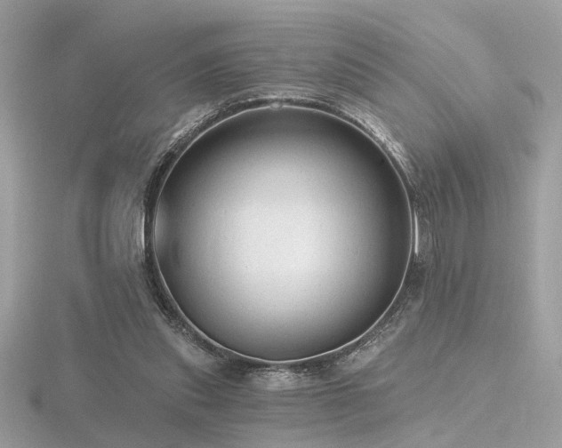 X0000116570253200912101516