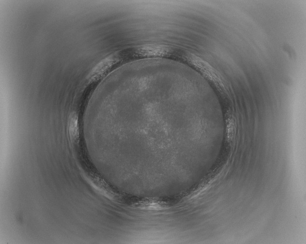 X0000116570254200912101516