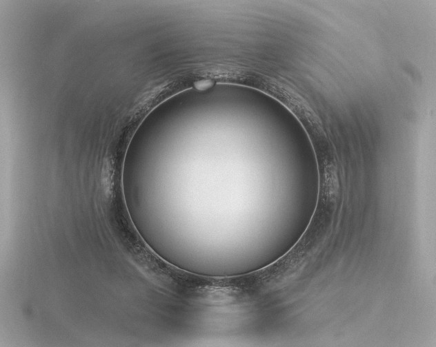 X0000116570255200912101516