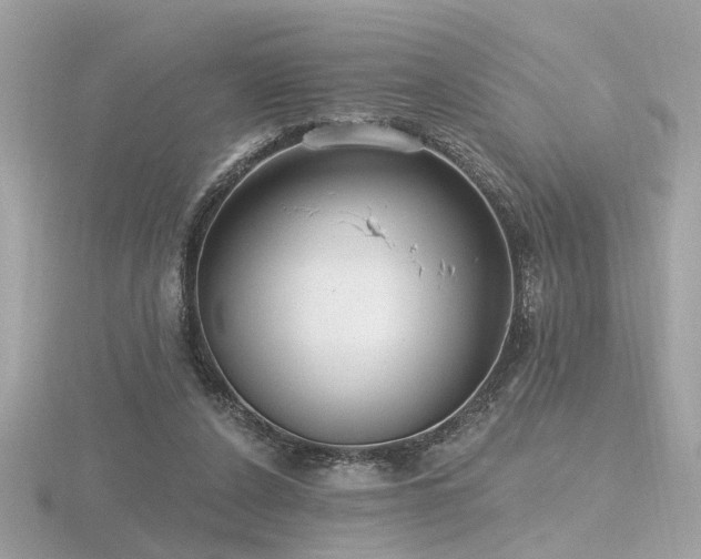 X0000116570256200912101516