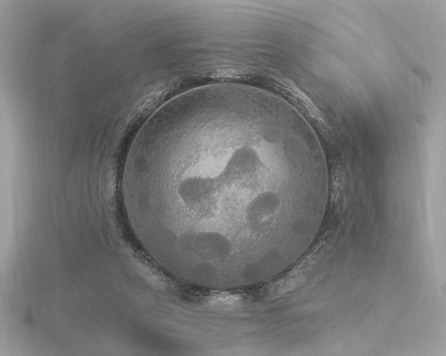 X0000116570257200912101516