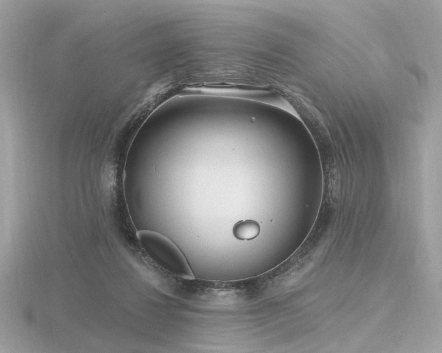 X0000116570260200912101516