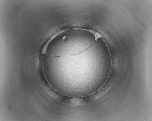 X0000116570261200912101516