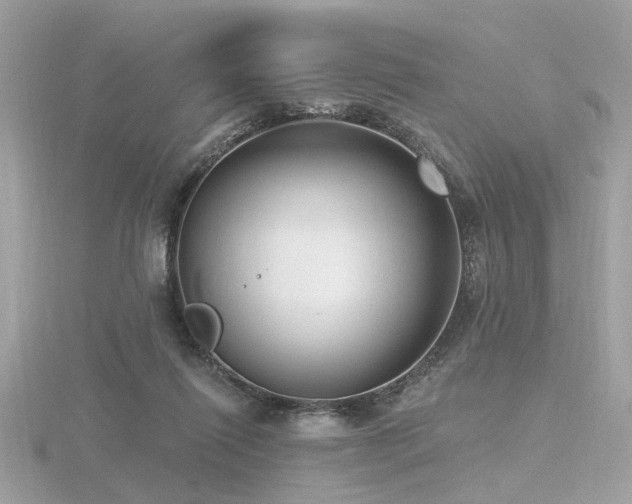 X0000116570262200912101516