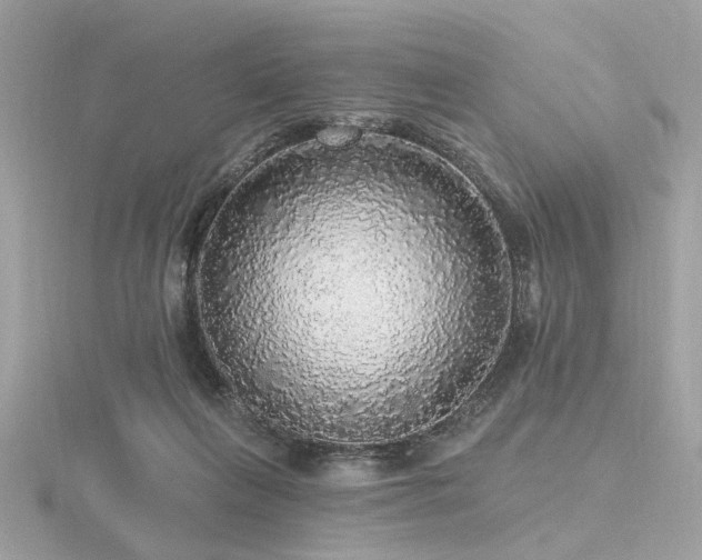 X0000116570263200912101516